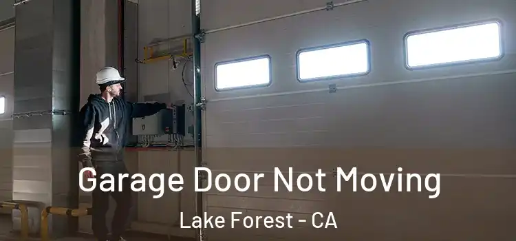  Garage Door Not Moving Lake Forest - CA